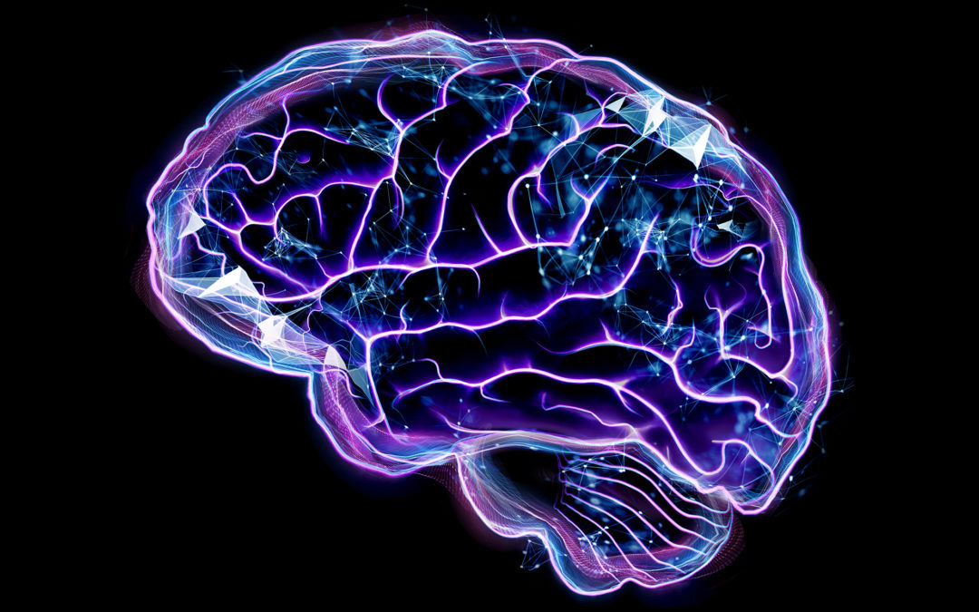Sobre enfermedades cerebrales (II): Hipoxia cerebral